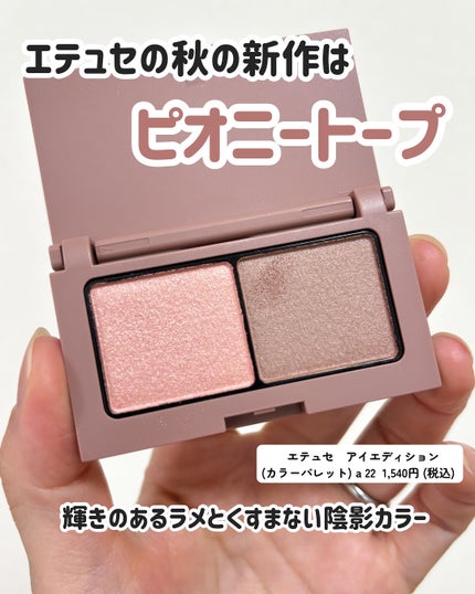 エテュセ アイエディション(カラーパレット)/ettusais/アイシャドウパレットを使ったクチコミ(2枚目)
