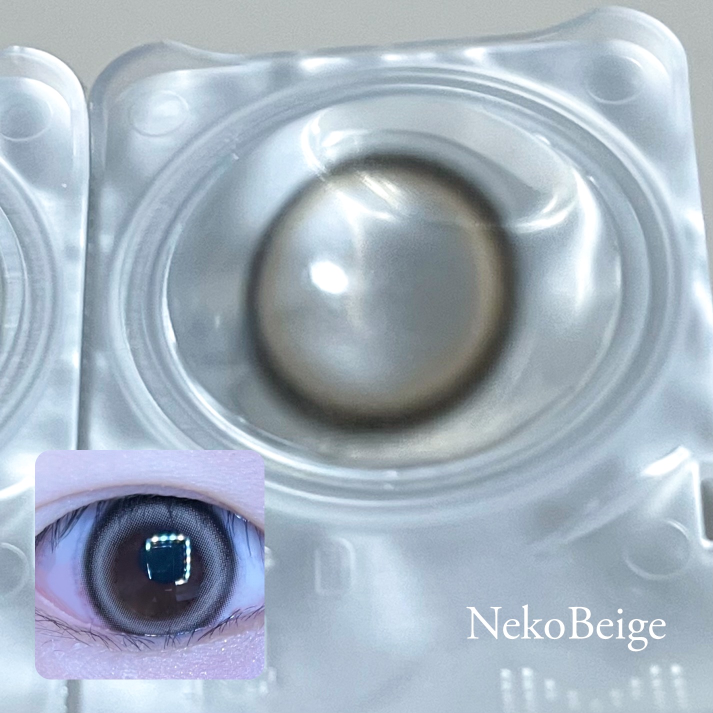 ANGÉLIQUE 1day ネコベージュ(Neko Beige)/ANGÉLIQUE/ワンデー（１DAY）カラコンを使ったクチコミ（2枚目）