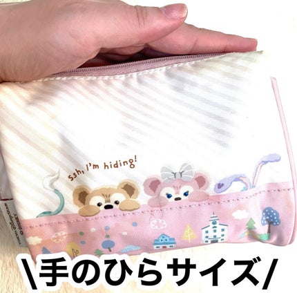 パーフェクトマルチアイズ/キャンメイク/アイシャドウパレットを使ったクチコミ(2枚目)