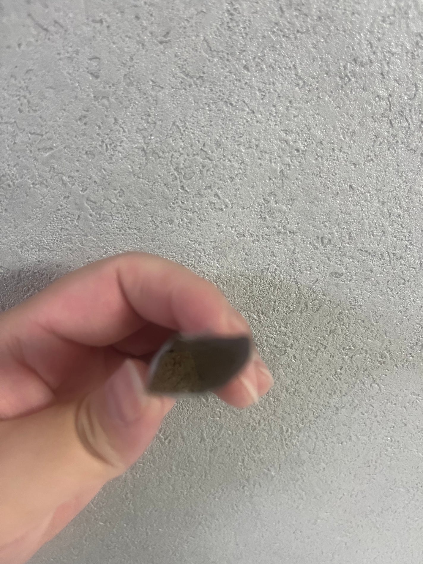 サファーデイ V酵素/canteen9/ボディサプリメントを使ったクチコミ(3枚目)