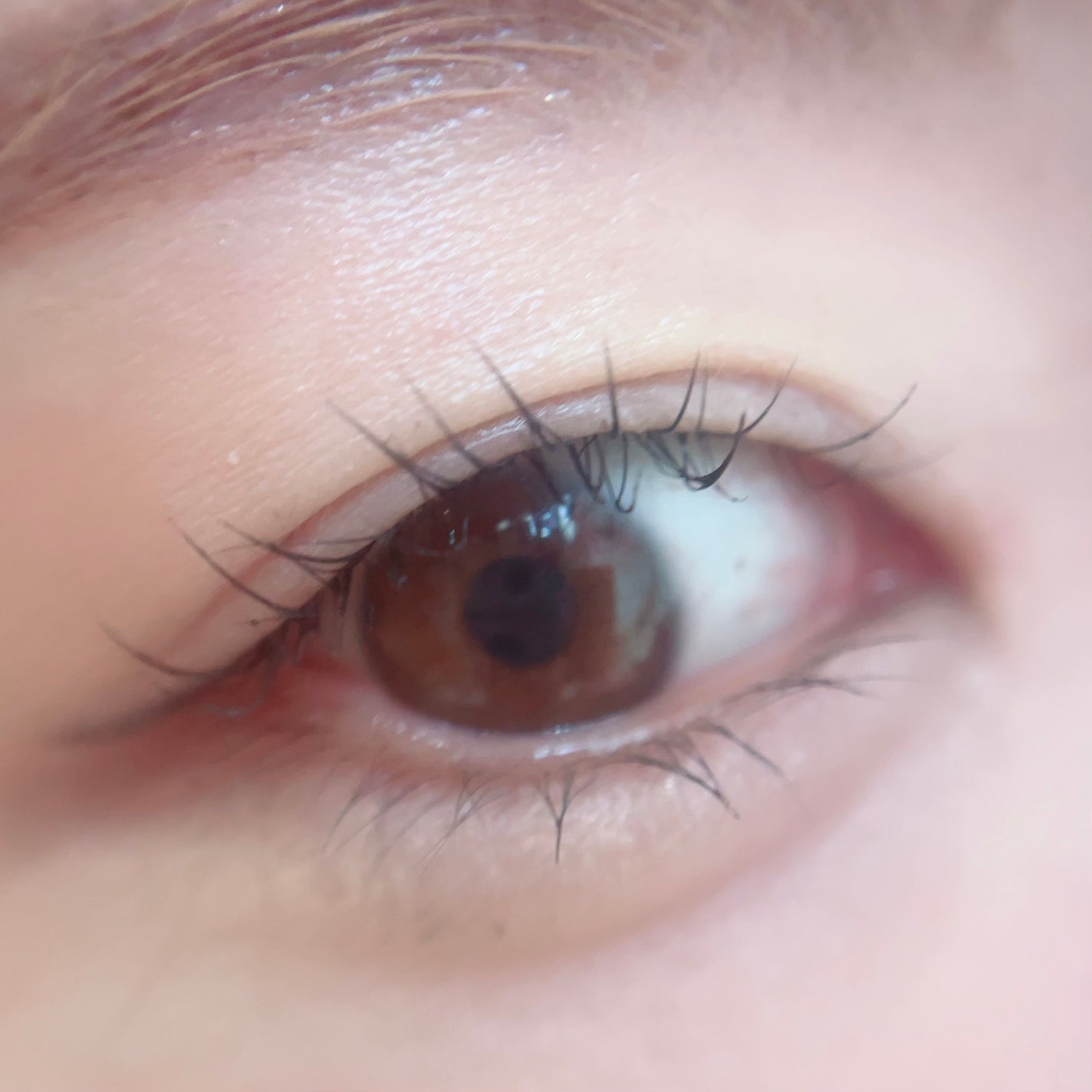 ã«ã³ã ðž on LIPS ã24æéãŸã€æ¯ã±ã¢ð/COSNORIâïžãã³ã°ã¢ã¯ãã£ãã¢ã€ã©..ãïŒ3æç®ïŒ