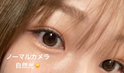 Glowy Natural 1Day モカブラウン/OLENS/カラーコンタクトレンズの画像