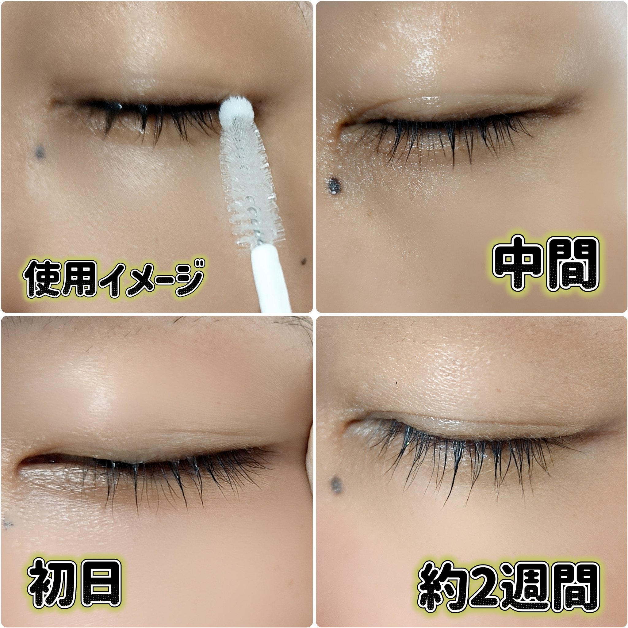 リアルミービオテノールラッシュアップアンプル/ベリサム/まつげ美容液を使ったクチコミ（3枚目）