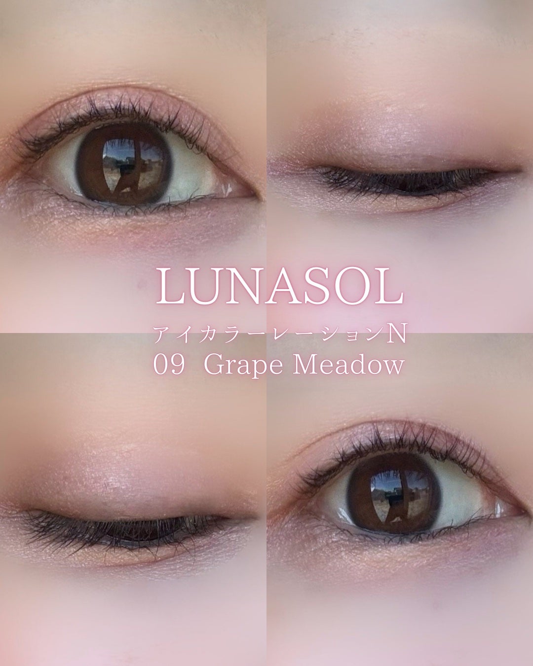 ルナソル アイカラーレーションN/LUNASOL/アイシャドウパレットを使ったクチコミ(6枚目)