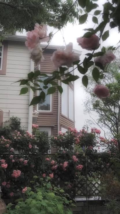 히나♡⸝⸝ on LIPS 「垢抜け方法⋆✦〜運動編〜また食事編、週間編も作ろうと思います!..」(1枚目)