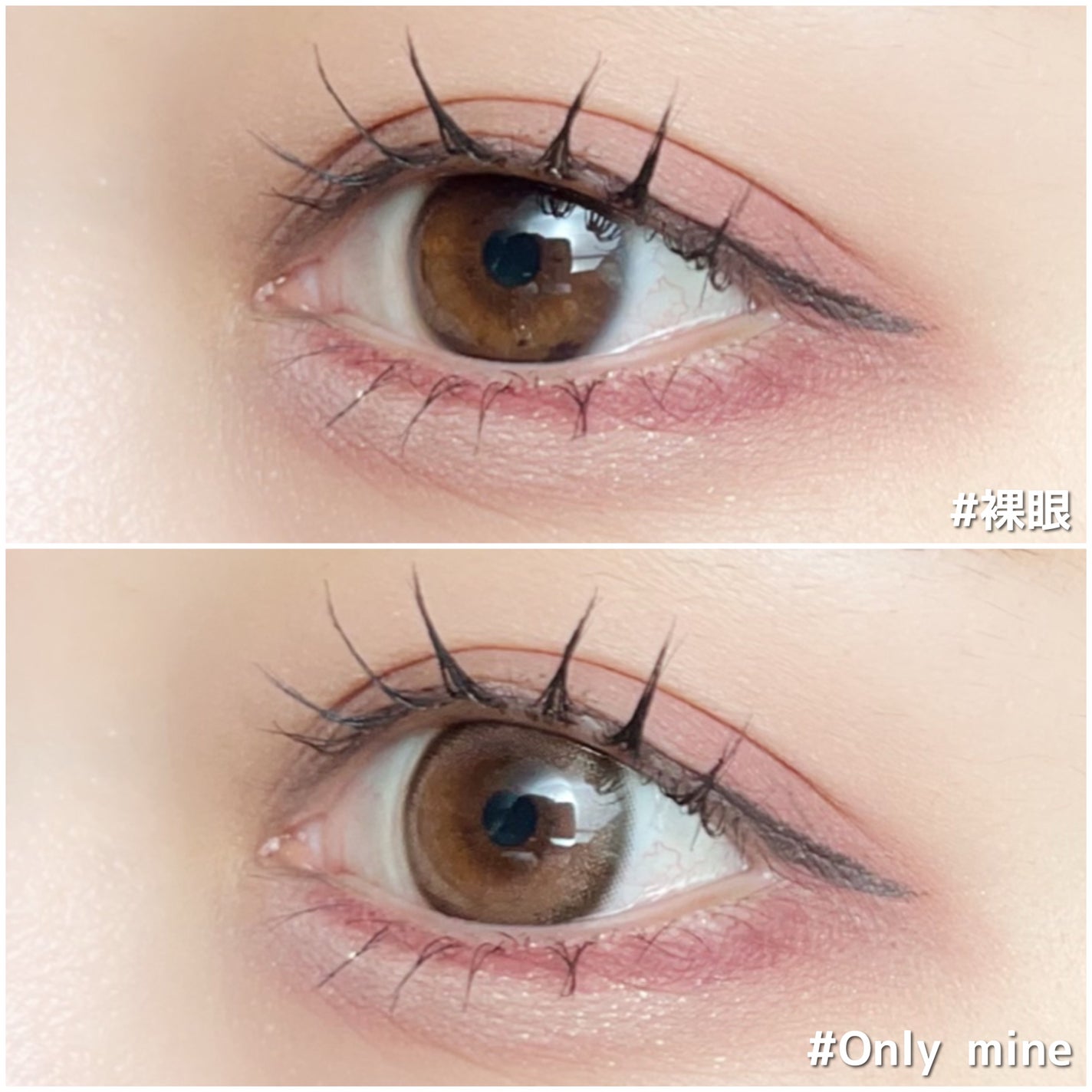 melotte 1day/melotte/ワンデー(1DAY)カラコンを使ったクチコミ(4枚目)