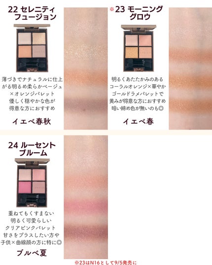 アイカラーレーション/LUNASOL/アイシャドウパレットを使ったクチコミ(6枚目)