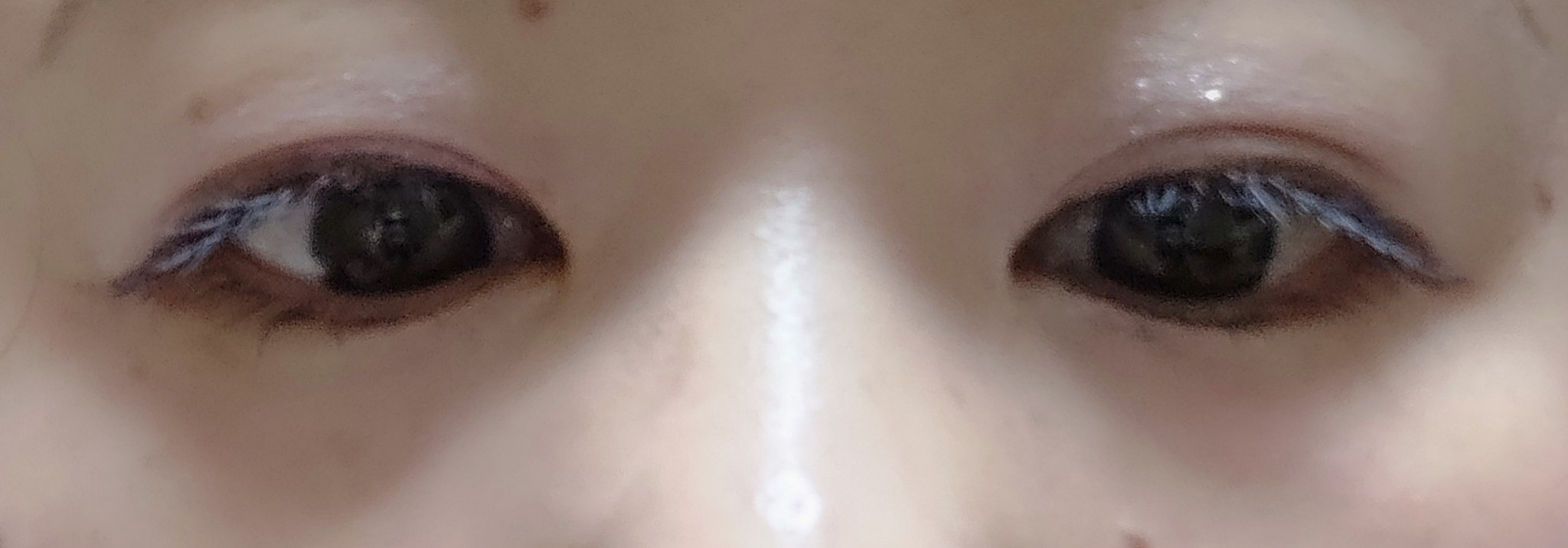 ジルスチュアート クリスタルブルーム ペタルクチュールアイズ デュオ/JILL STUART/アイシャドウパレットを使ったクチコミ（3枚目）