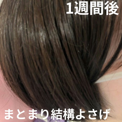 ストレートシャンプー/ストレートトリートメント/Straine/市販シャンプーを使ったクチコミ(7枚目)