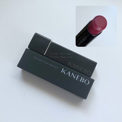 ルージュスターヴァイブラント/KANEBO/口紅を使ったクチコミ(1枚目)