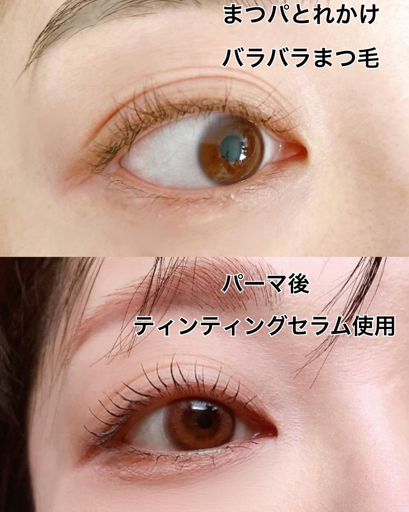 イージーアイラッシュリフトキット/COSNORI/その他キットセットを使ったクチコミ(9枚目)
