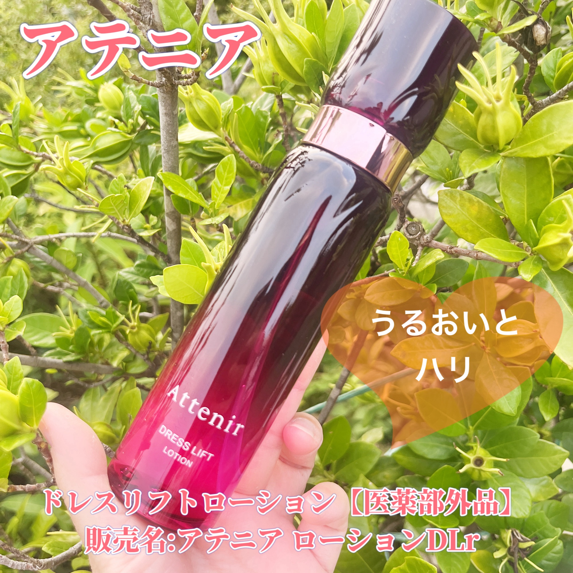 ドレスリフト ローション【医薬部外品】/アテニア/化粧水を使ったクチコミ（1枚目）
