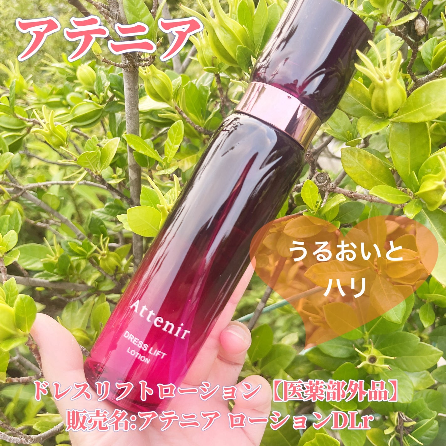 ドレスリフト ローション【医薬部外品】/アテニア/化粧水を使ったクチコミ(1枚目)