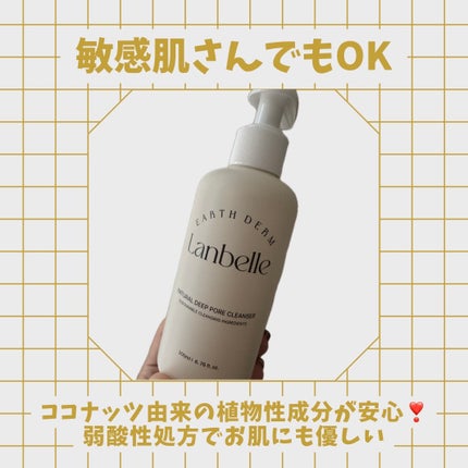 ナチュラルディープポアクレンザー/LANBELLE/その他洗顔料を使ったクチコミ(2枚目)