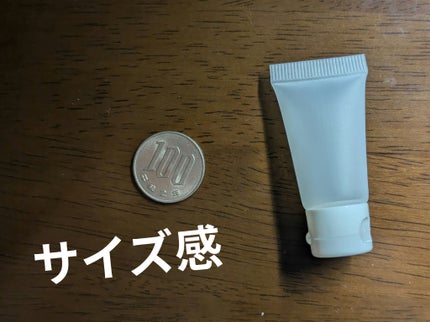 を使ったクチコミ(2枚目)