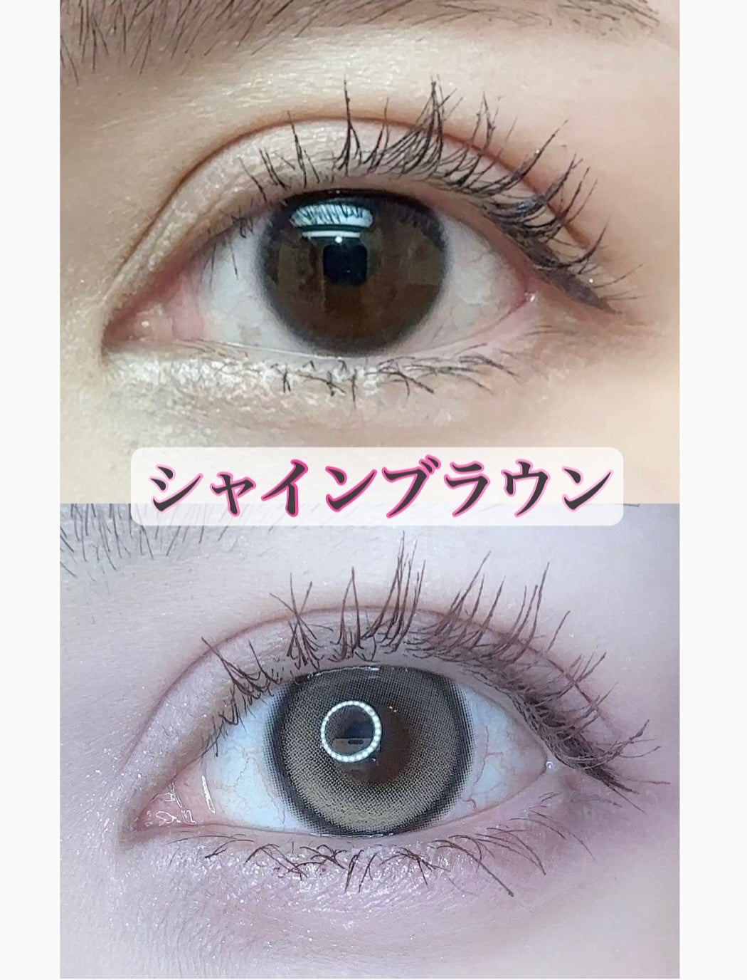 MUSE 1month/OLENS/1ヶ月(1MONTH)カラコンを使ったクチコミ(5枚目)