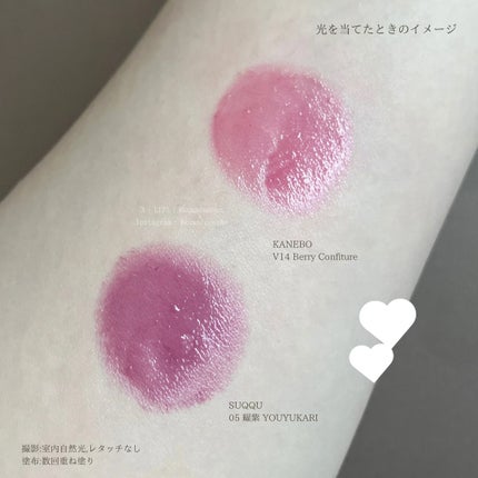 ルージュスターヴァイブラント/KANEBO/口紅を使ったクチコミ(6枚目)