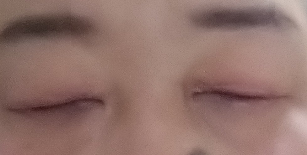 クォーツ 9色アイシャドウパレット(ドリームランドアイシャドウ)/ZEESEA/アイシャドウパレットを使ったクチコミ（3枚目）