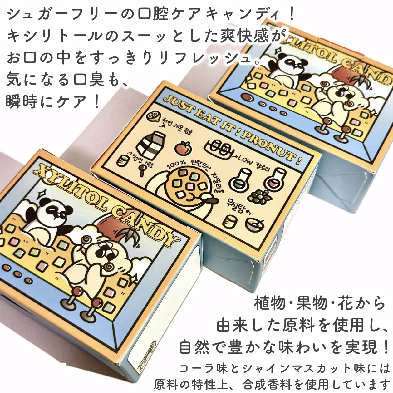 シュガーフリーキシリトールキャンディ/PRONUT/その他オーラルケアを使ったクチコミ（2枚目）