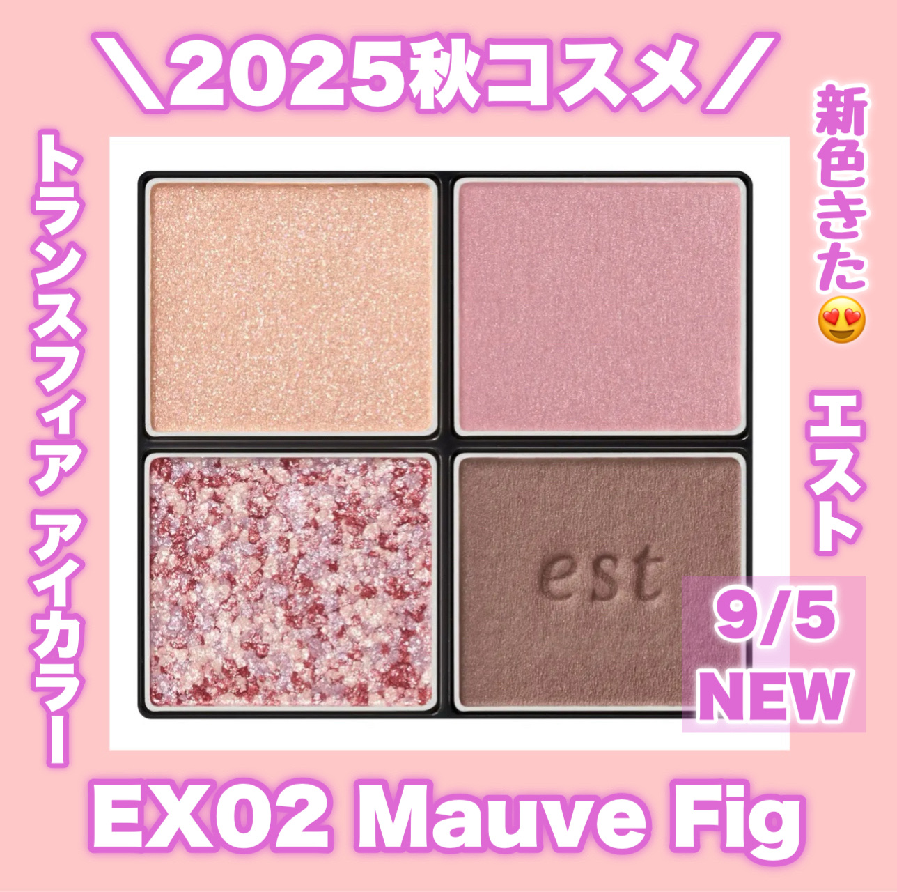 エスト トランスフィア アイカラー EX02 Mauve Fig/est/アイシャドウパレットを使ったクチコミ（1枚目）