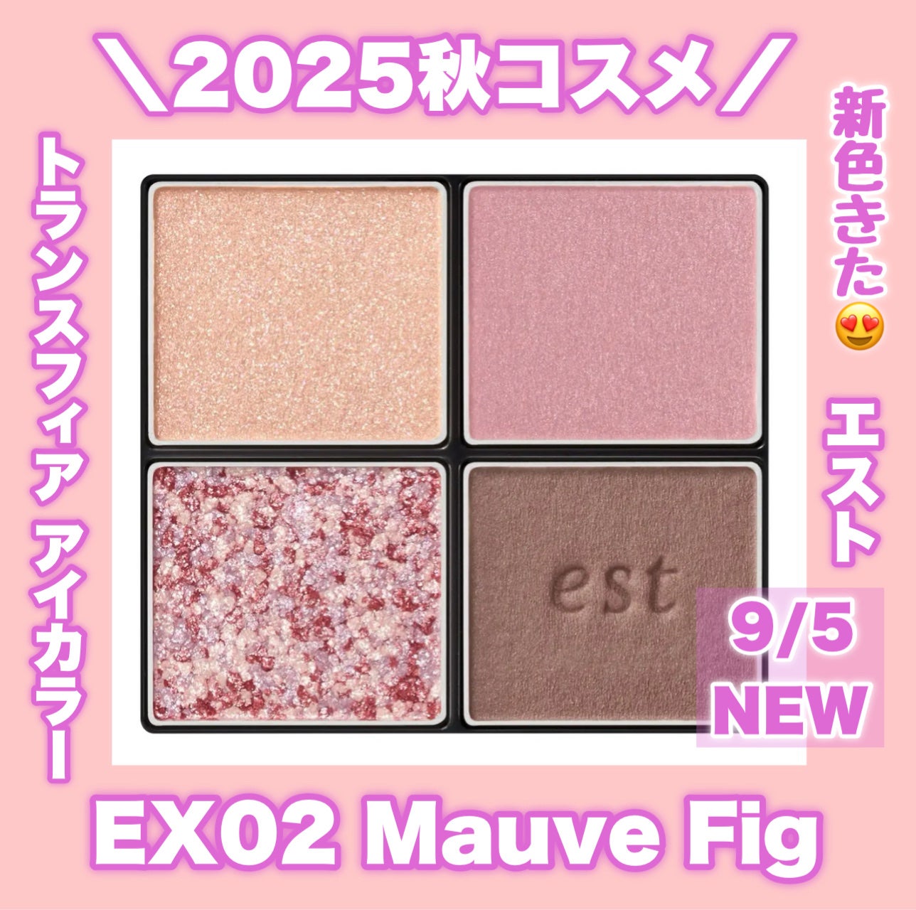 エスト トランスフィア アイカラー/est/アイシャドウパレットを使ったクチコミ(1枚目)