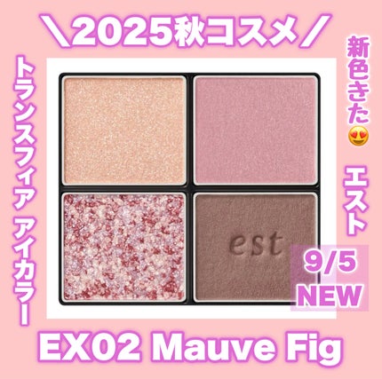 エスト トランスフィア アイカラー/est/アイシャドウパレットを使ったクチコミ(1枚目)