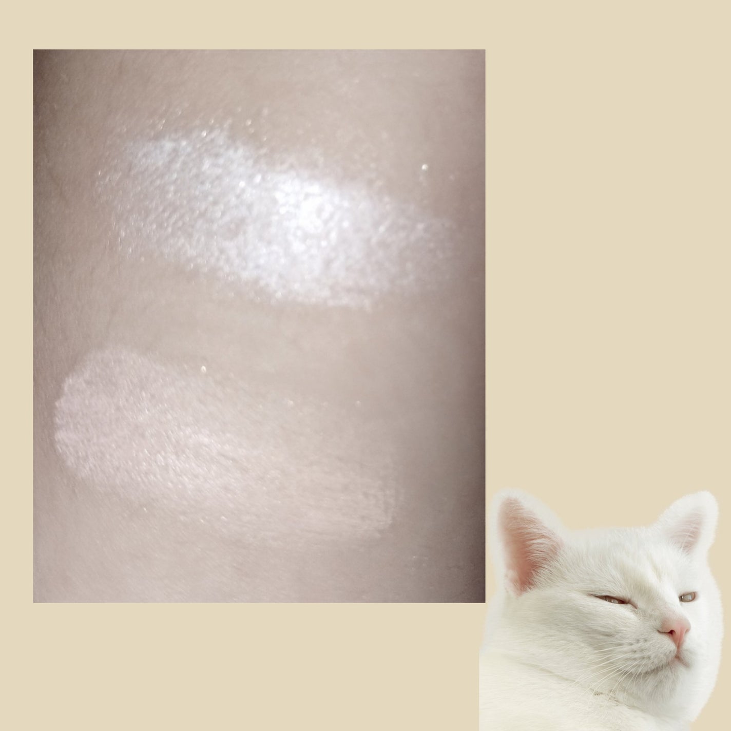 カラーデュオ トリック コンシーラー/Visée/パレットコンシーラーを使ったクチコミ(2枚目)