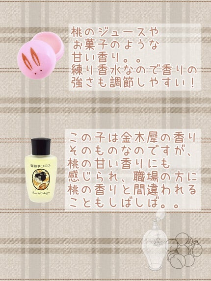 ネクタリン ブロッサム & ハニー コロン/Jo MALONE LONDON/香水(レディース)を使ったクチコミ(5枚目)