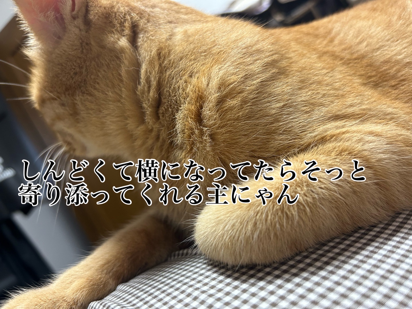 イロハ インティメートウォッシュ フォームタイプ スウィートシトラスの香り/iroha INTIMATE CARE/デリケートゾーンケアを使ったクチコミ（3枚目）