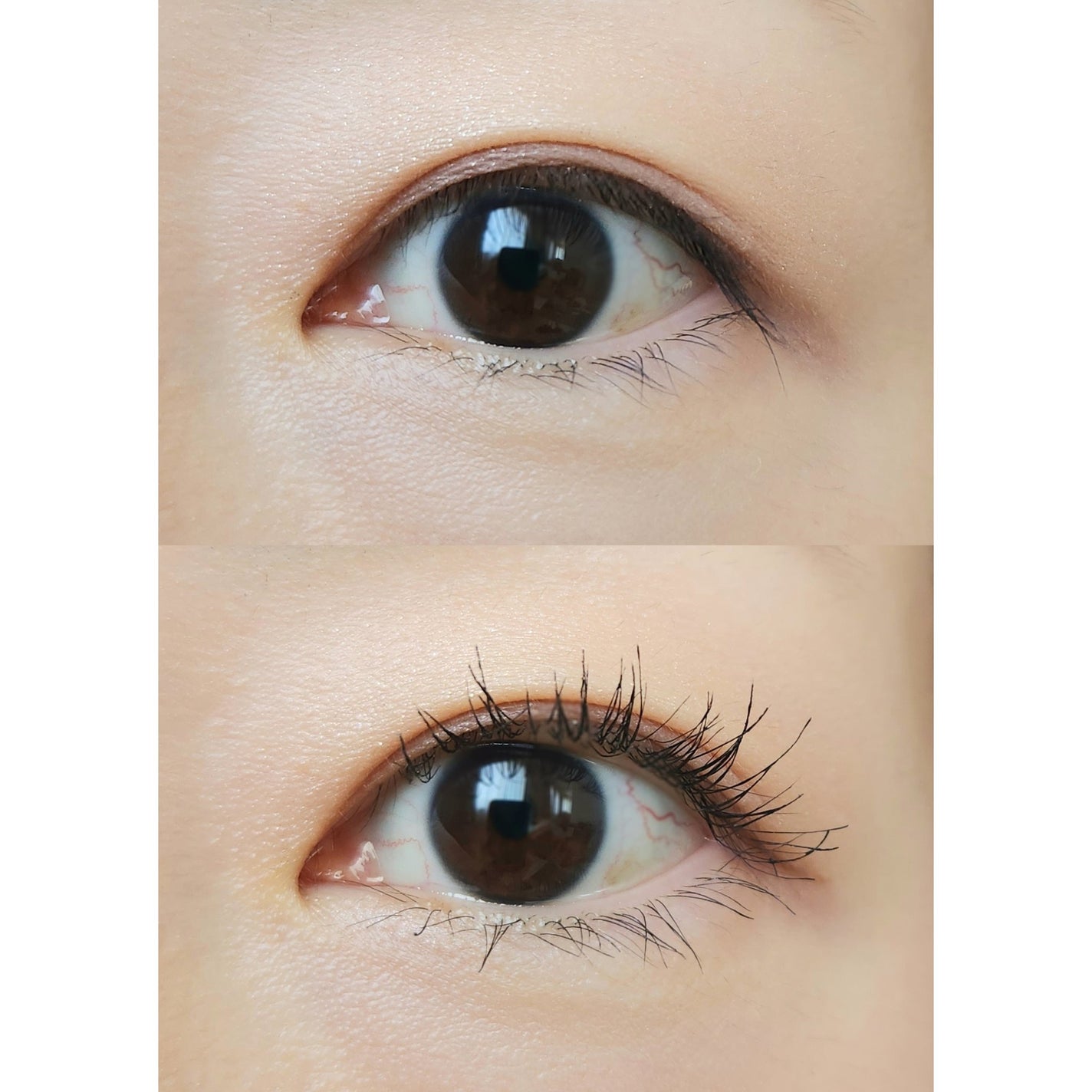 カールフィックスマスカラ/ETUDE/マスカラを使ったクチコミ(3枚目)