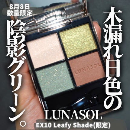 ルナソル アイカラーレーションN/LUNASOL/アイシャドウパレットを使ったクチコミ(1枚目)