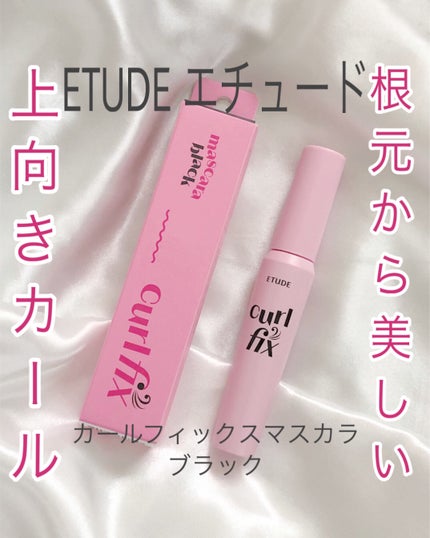 カールフィックスマスカラ/ETUDE/マスカラを使ったクチコミ(1枚目)