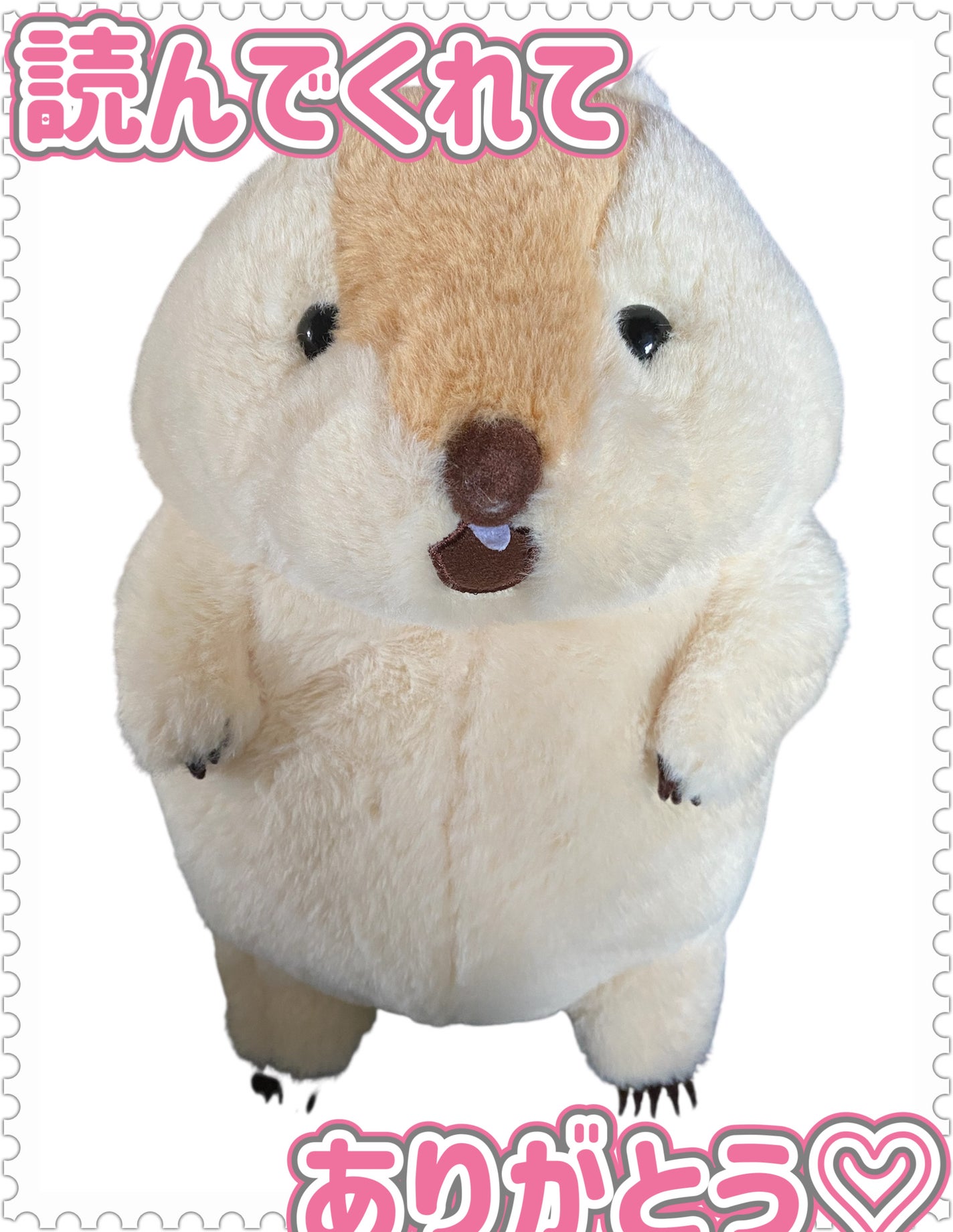 【医薬部外品】ニベア ルーセントビューティ シルクブライトニング ブライトニング美容液ボディミルク/ニベア/ボディミルクを使ったクチコミ(5枚目)