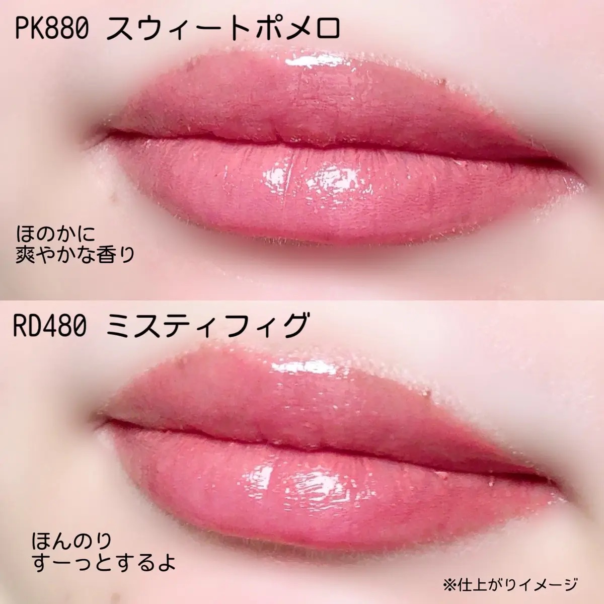 エッセンス プランプバーム RD480 ミスティフィグ/Visée/リッププランパーを使ったクチコミ（3枚目）