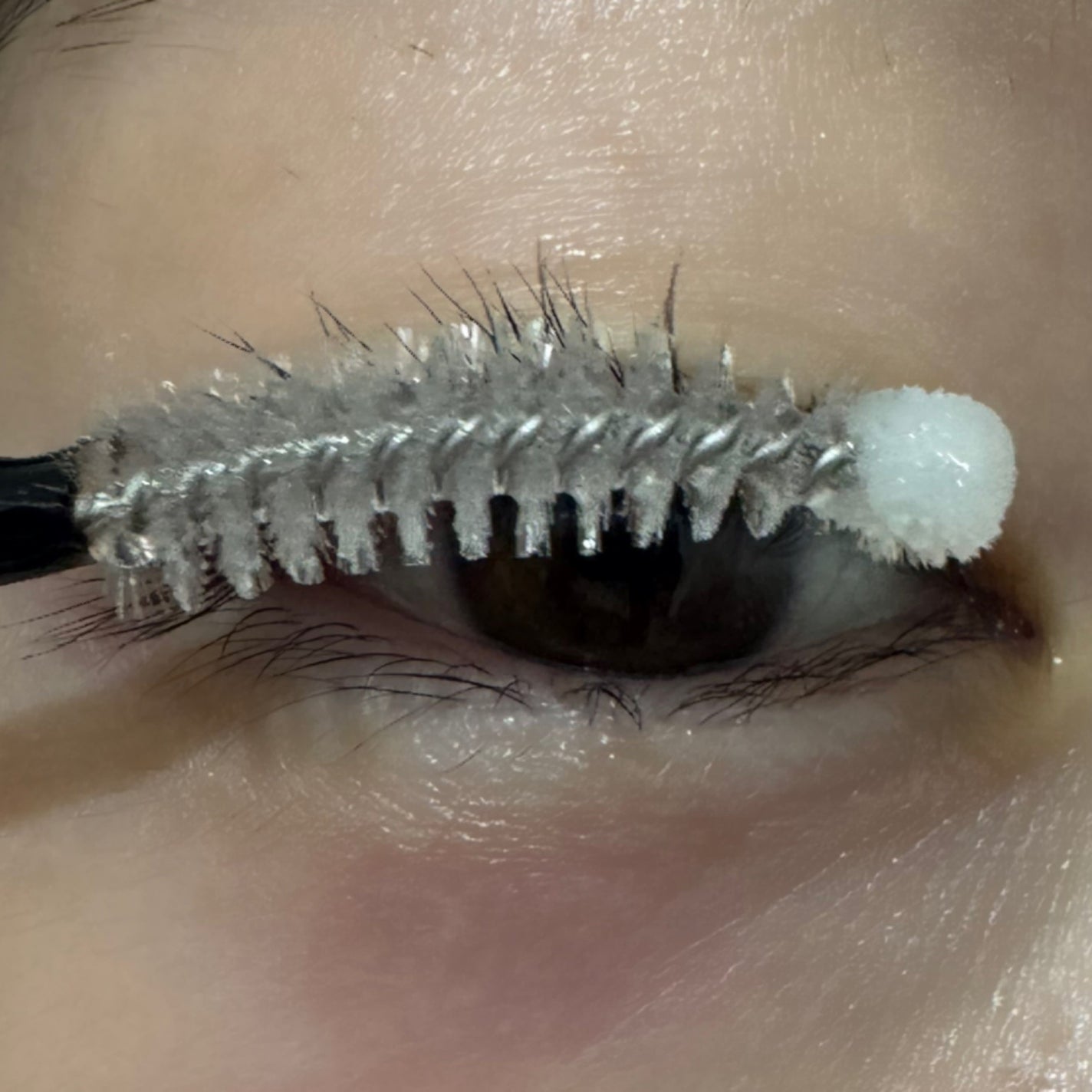 ロングアクティブアイラッシュセラム/COSNORI/まつげ美容液を使ったクチコミ(3枚目)