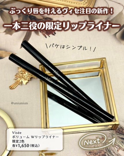 ボリューム Wリップライナー/Visée/リップライナーを使ったクチコミ(2枚目)