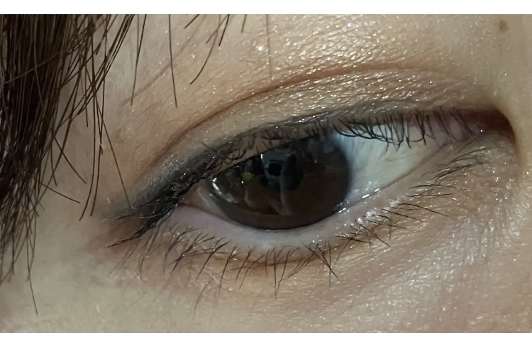 シグニチャー カラー アイズ/SUQQU/アイシャドウパレットを使ったクチコミ（2枚目）