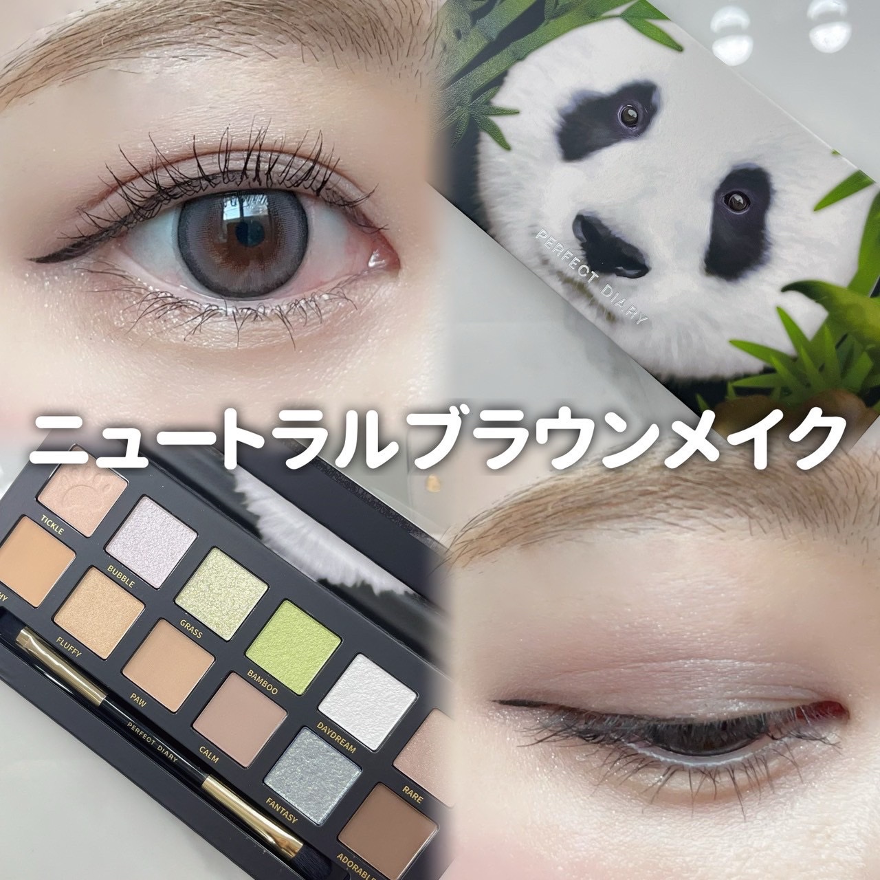 エクスプローラ12色 動物アイシャドウパレット パンダ/PERFECT DIARY/アイシャドウパレットを使ったクチコミ（1枚目）