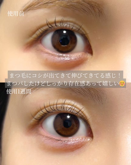 スカルプDまつ毛美容液 クイーン/アンファー(スカルプD)/まつげ美容液を使ったクチコミ(4枚目)