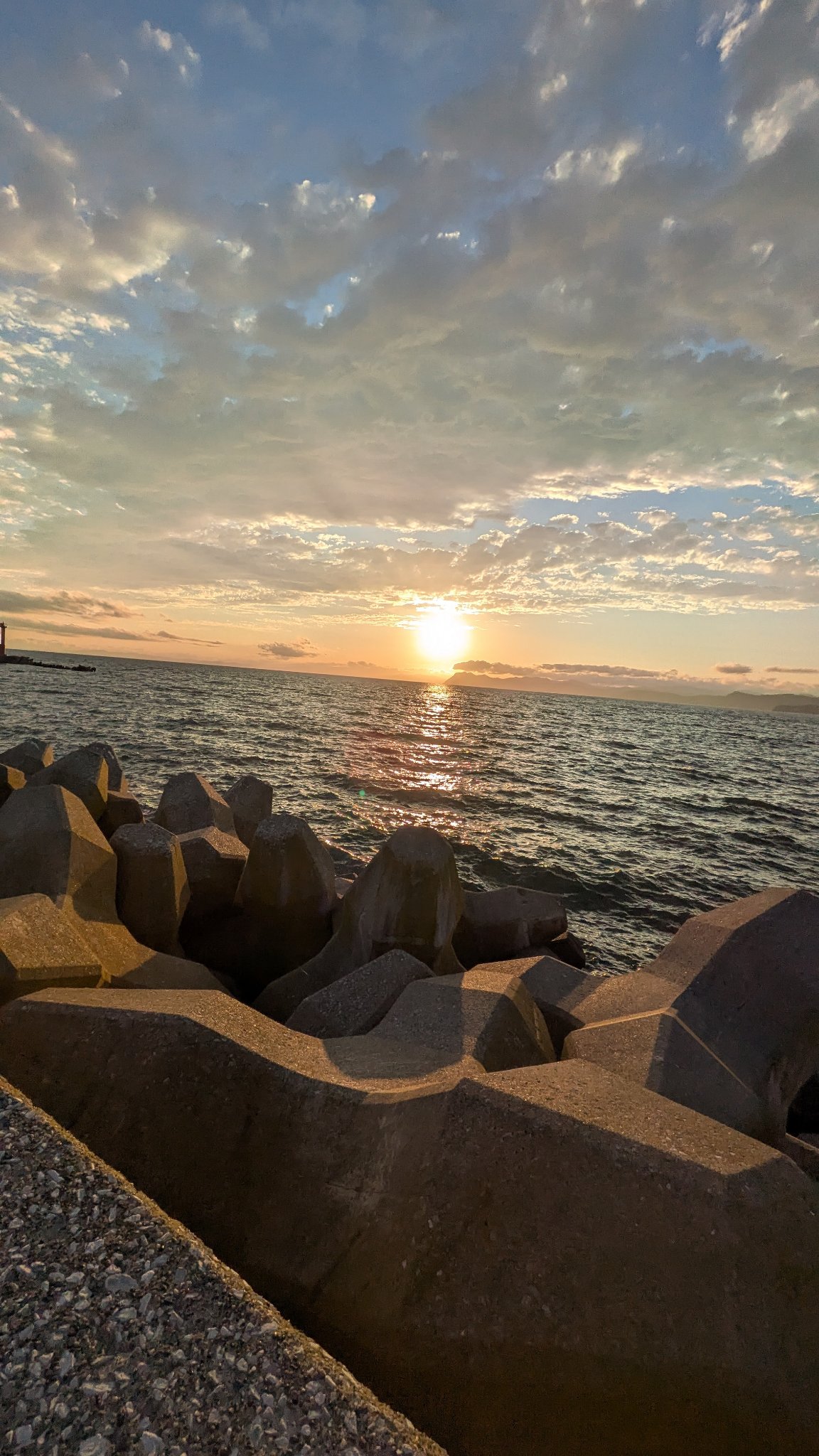 カラフルネイルズ N24 トゥインクルドロップ/キャンメイク/マニキュアを使ったクチコミ（2枚目）