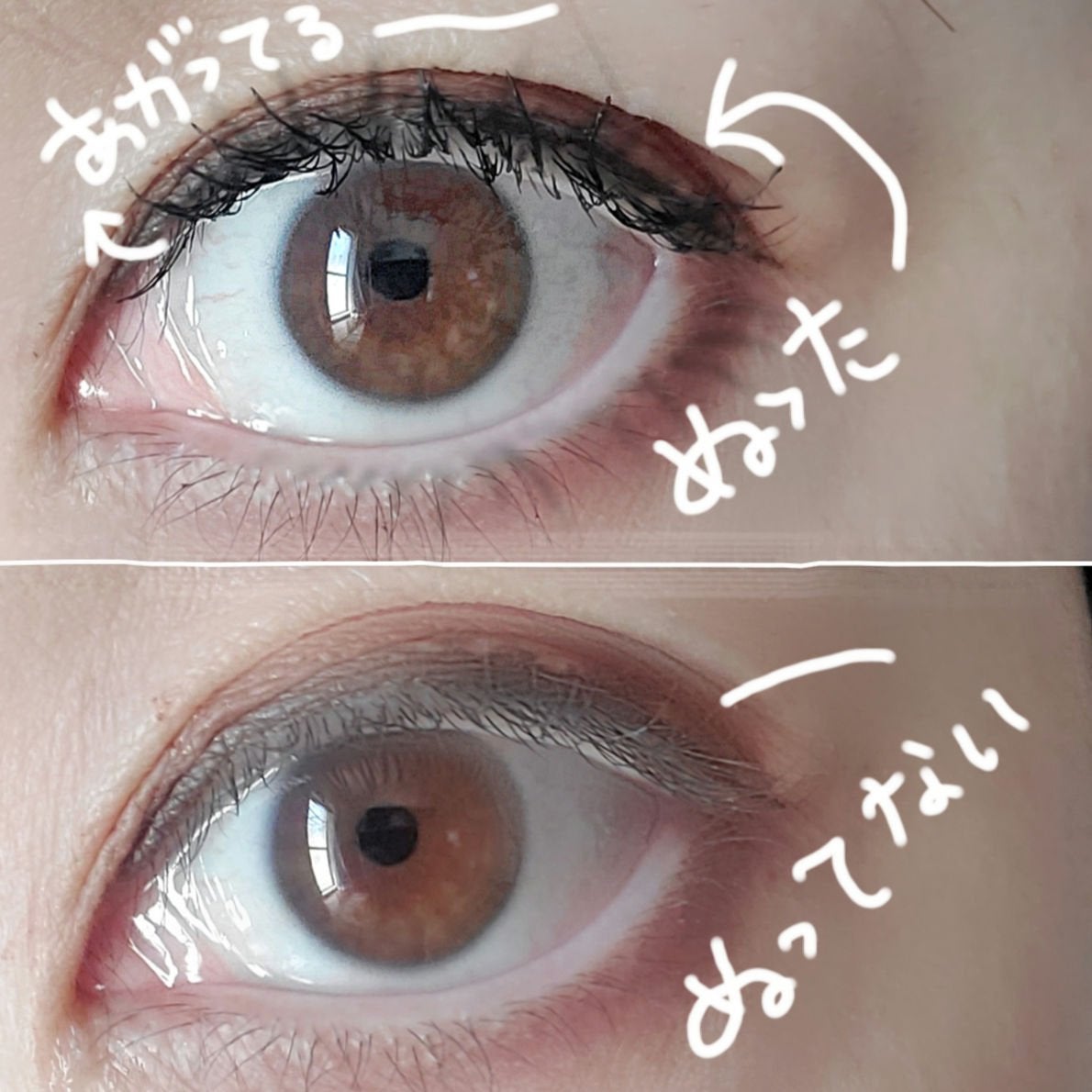 カールフィックスマスカラ/ETUDE/マスカラを使ったクチコミ(2枚目)