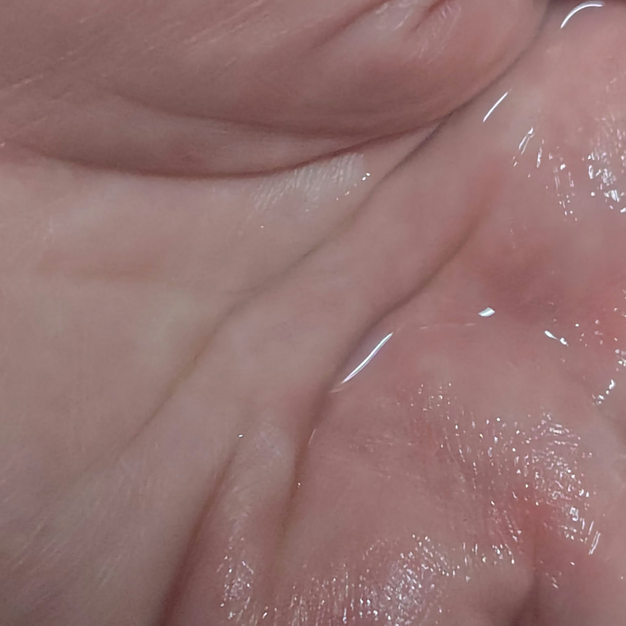 ALBION フラルネ ハイドロボム プラスのクチコミ「翌朝のお肌が洗顔で洗い流す時にプルプルでした

2025/8/17発売

ALBION🌿

フ.....」（3枚目）