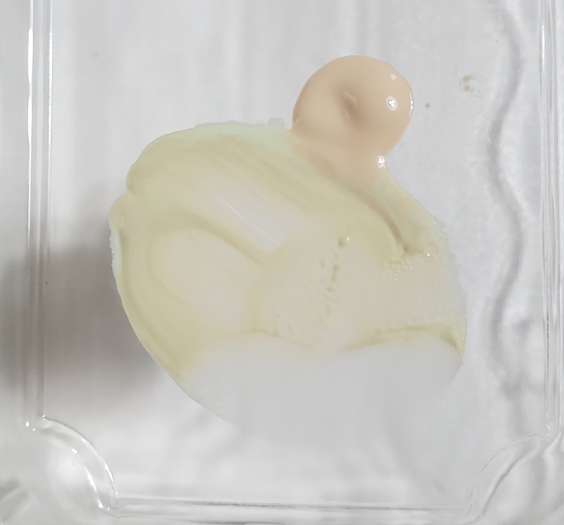 ライトリフレクティング ファンデーション 02162/NARS/リキッドファンデーションを使ったクチコミ（2枚目）