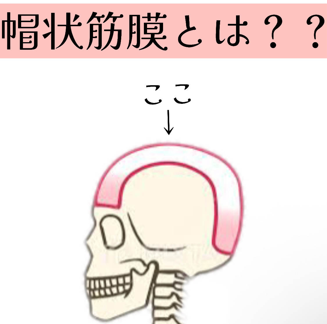 uka scalp brush kenzan/uka/スカルプブラシを使ったクチコミ（2枚目）