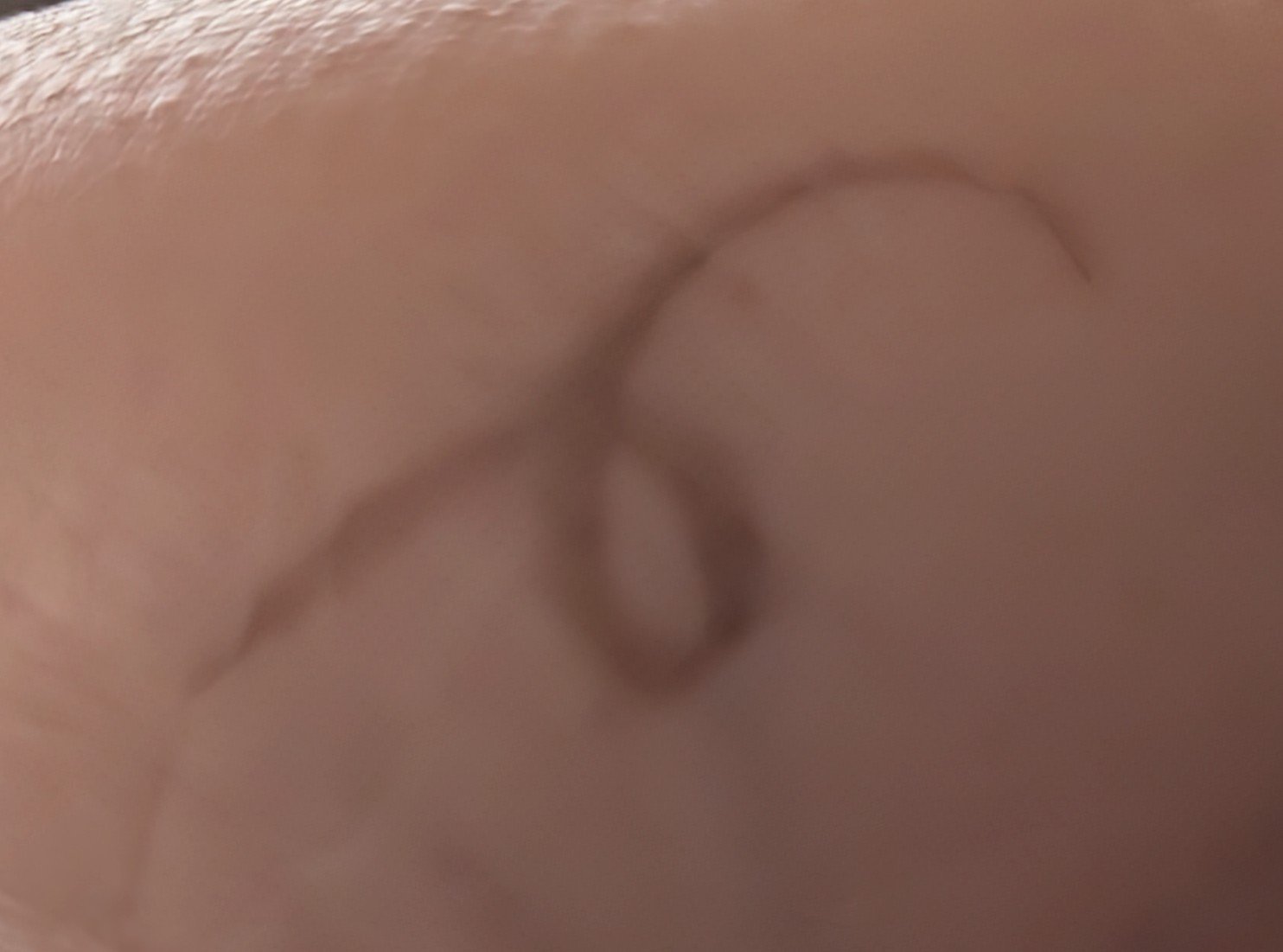 ニュアンスリキッドアイライナー/minum/リキッドアイライナーを使ったクチコミ（2枚目）