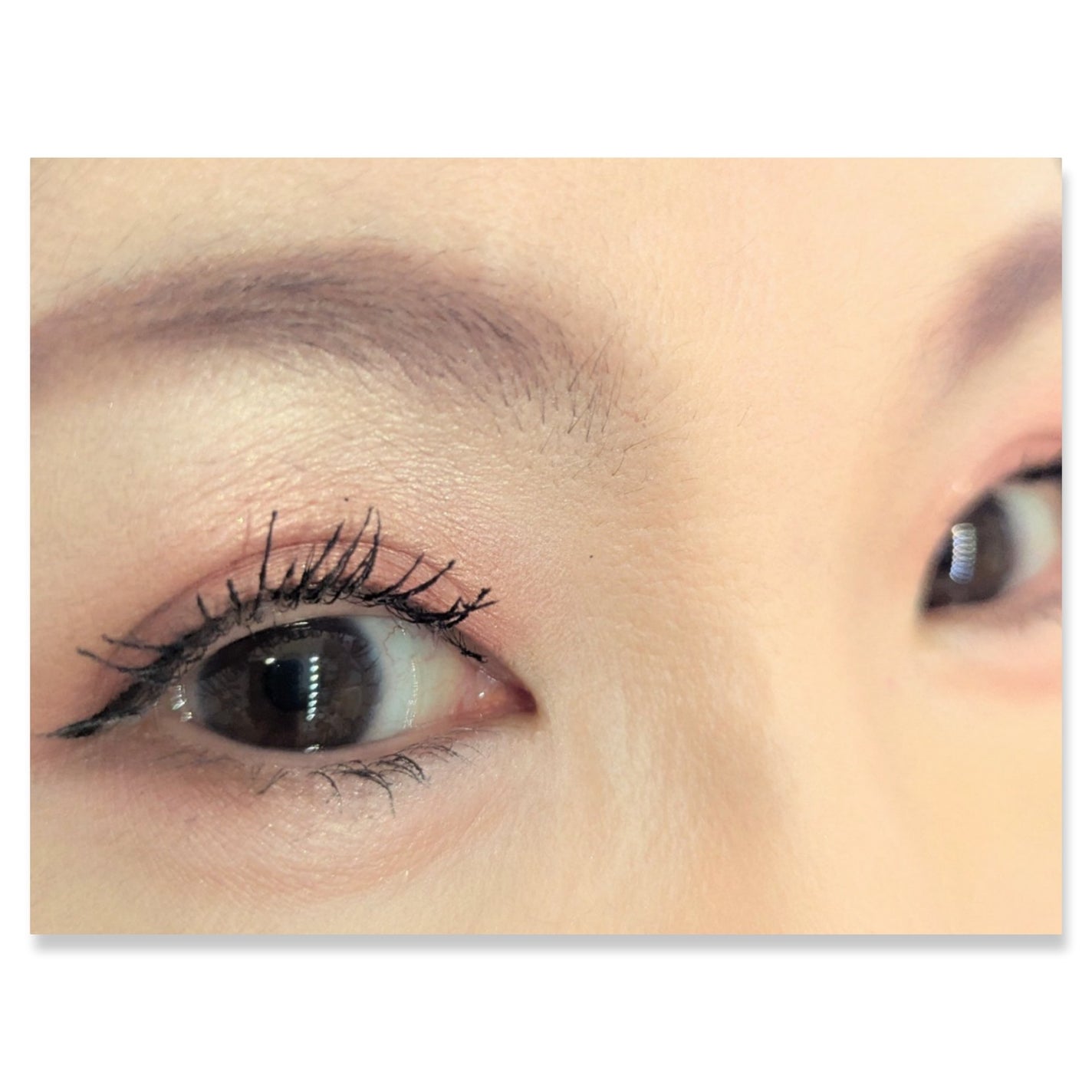 ショコラスウィート アイズ/リンメル ロンドン/アイシャドウパレットを使ったクチコミ(2枚目)