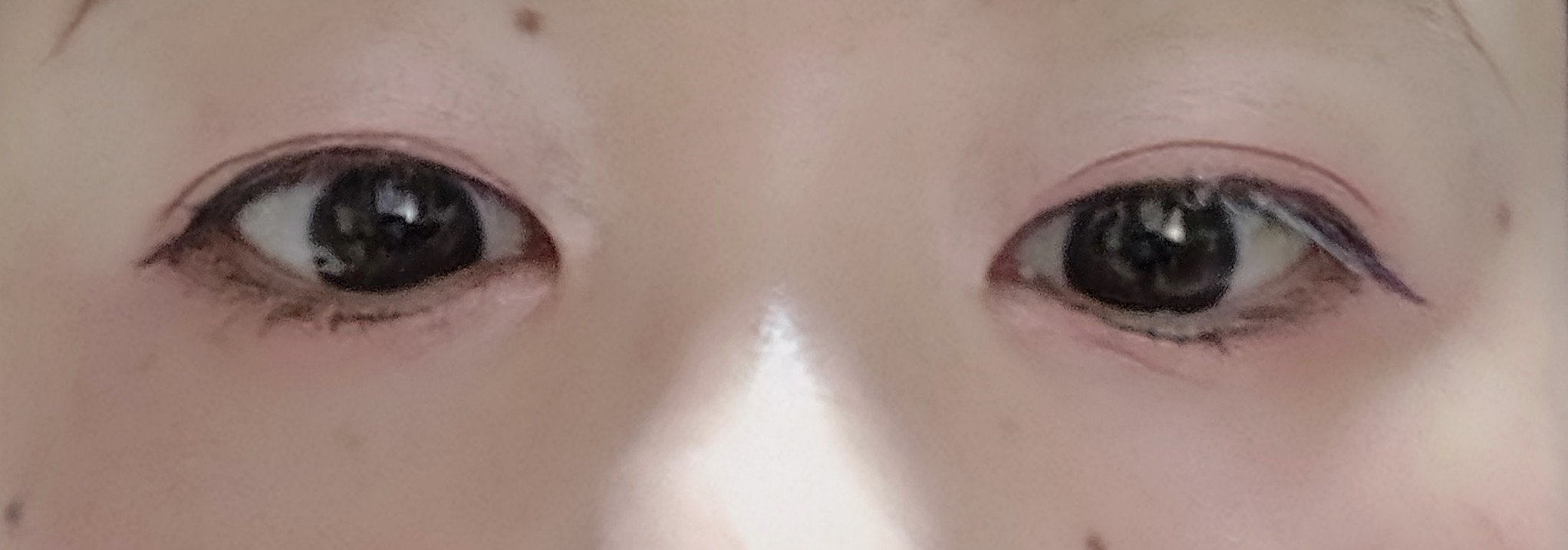 【旧】ディオールショウ サンク クルール （スプリング コレクション 2024 限定品）/Dior/アイシャドウを使ったクチコミ（3枚目）