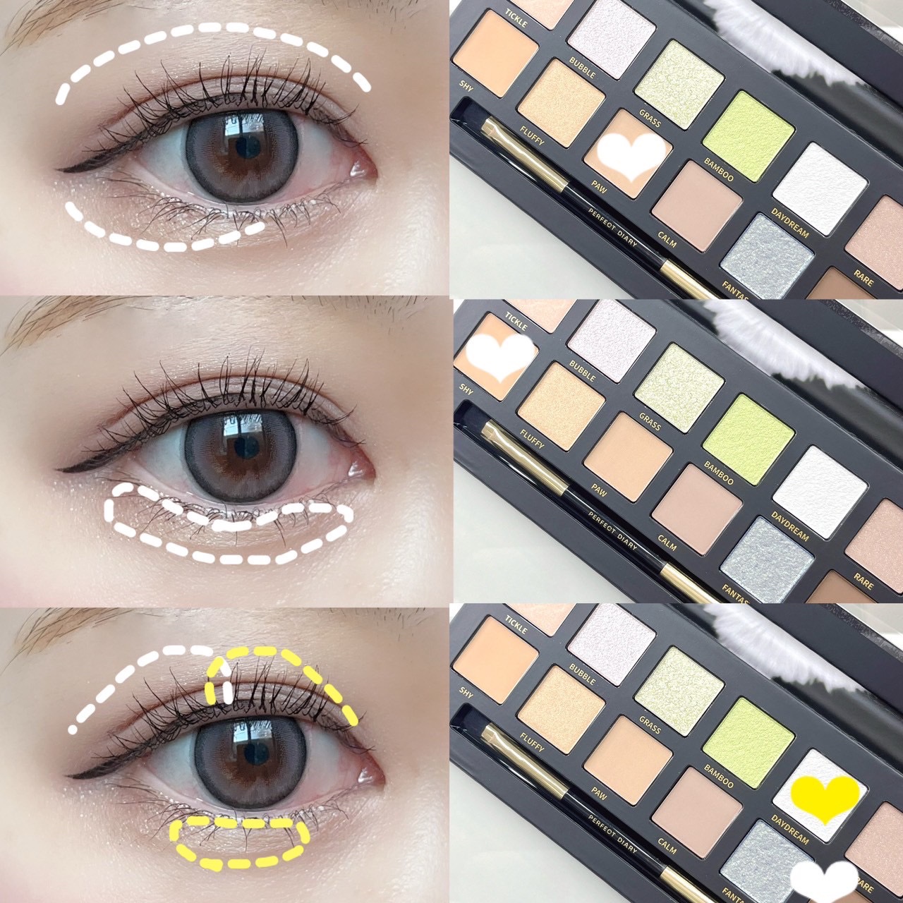 エクスプローラ12色 動物アイシャドウパレット パンダ/PERFECT DIARY/アイシャドウパレットを使ったクチコミ（2枚目）