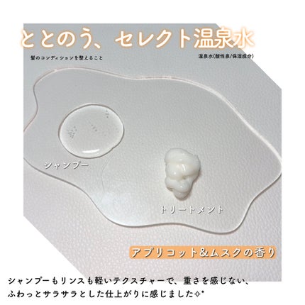 ボンリペア シャンプー/トリートメント/bonparme/シャンプー・コンディショナーを使ったクチコミ(2枚目)