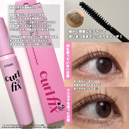 カールフィックスマスカラ/ETUDE/マスカラを使ったクチコミ(2枚目)